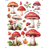 Transfer Litoarte 15x19,5cm TIM-009 Cogumelos