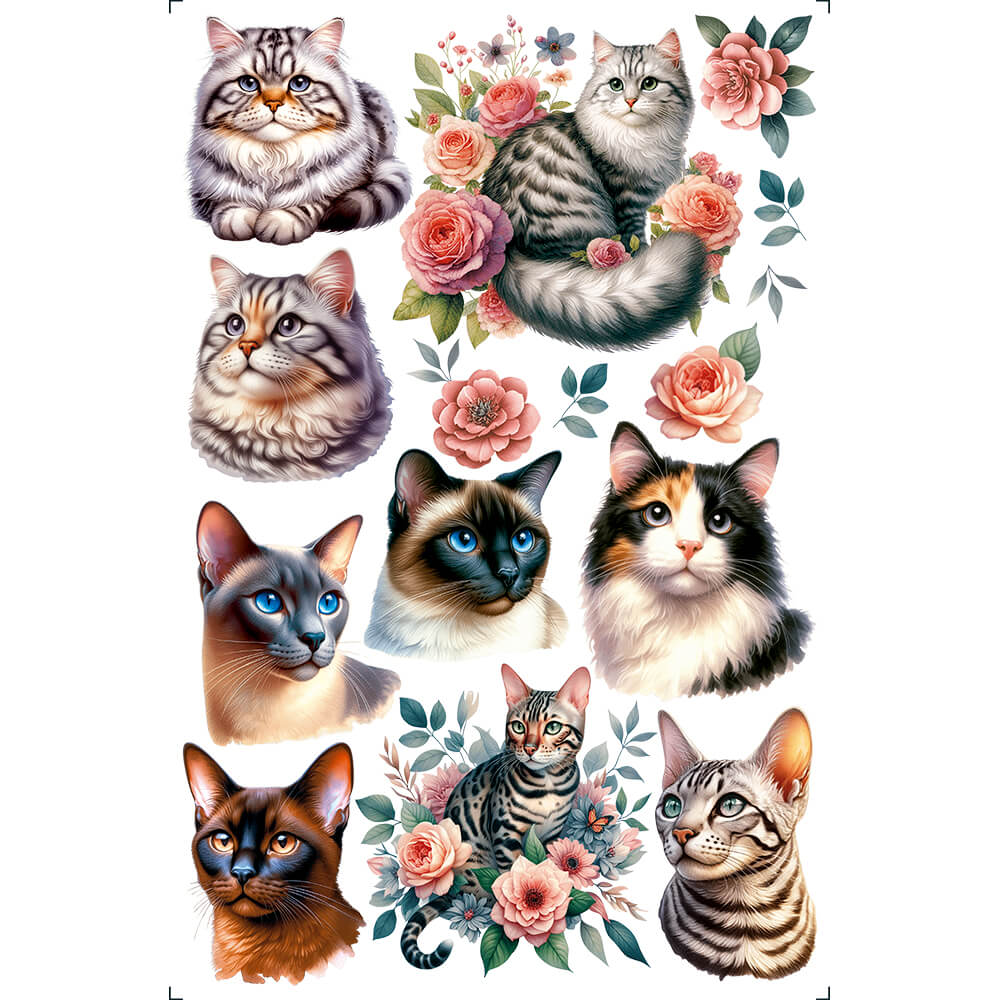 Transfer Litoarte 19,5x29,5 TIB-041 Gatinhos