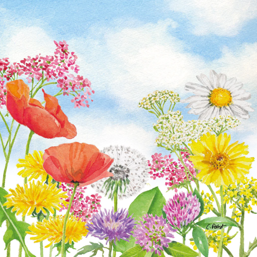 Guardanapo de Papel Decoupage 33x33 PPD Summer Day 133003262