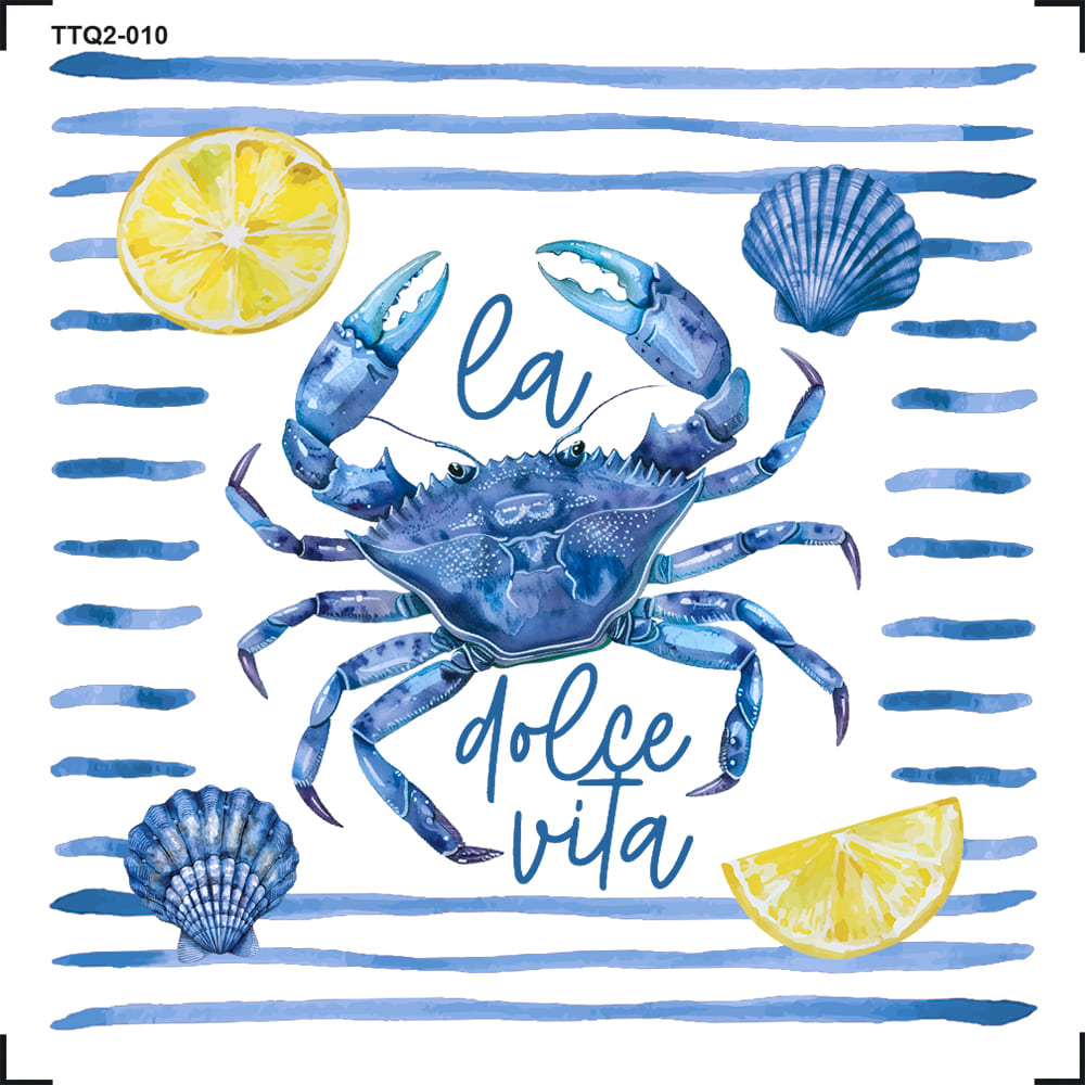 Transfer Têxtil 8x8cm TTQ2-010 Siri