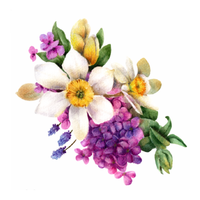 Transfer Têxtil 10x10cm  Opa 3855 Flores Narciso e Lilás