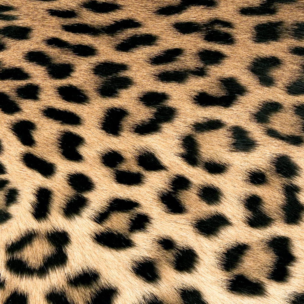 Guardanapo de Papel Decoupage 33x33 PPD Leopard Couture 6530