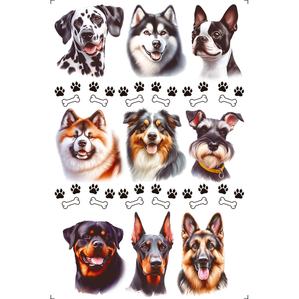 Transfer Litoarte 19,5x29,5 TIB-043 Cachorrinhos