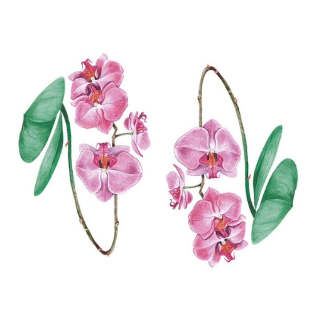 Aplique Litoarte APM4-452 4cm Minha Primavera Encantada Orquídeas 2 peças - Palácio da Arte