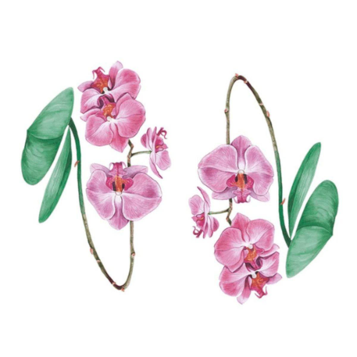 Aplique Litoarte APM4-452 4cm Minha Primavera Encantada Orquídeas 2 peças - Palácio da Arte