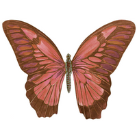 Aplique Litoarte APM8-1238 8cm Borboleta Tons de Marrom - Palácio da Arte