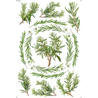 Transfer de Imagem 19,5x29,5cm TEB-001 Espelhado Alecrim