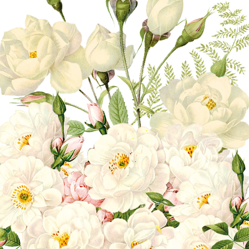 Guardanapo de Papel Decoupage 33x33 PPD Roses Blancs 133003354