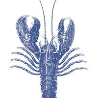 Guardanapo de Papel Decoupage 33x33 PPD Lobster Marine 7405