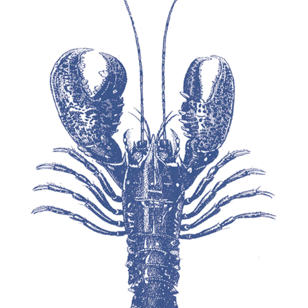 Guardanapo de Papel Decoupage 33x33 PPD Lobster Marine 7405
