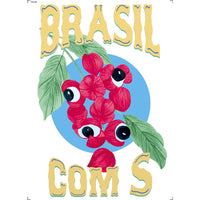 Transfer Têxtil 20x27,5cm TTR6-054 Brasil com S