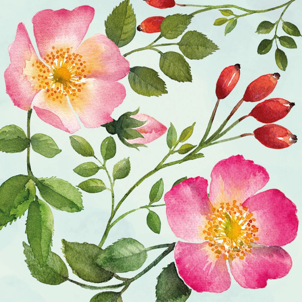 Guardanapo de Papel Decoupage 33x33 PPD English Rose 133003296