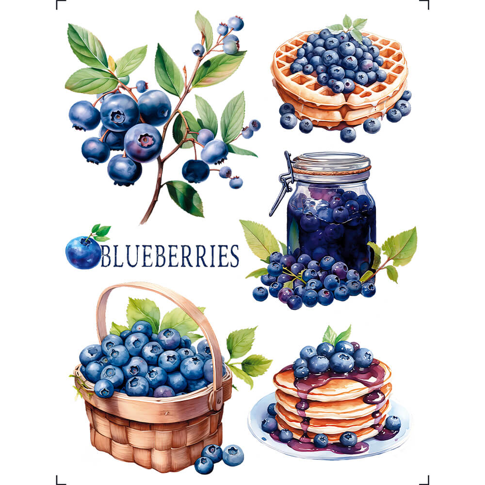 Transfer de Imagem Litoarte 15x19,5cm TIM-006 Blueberry