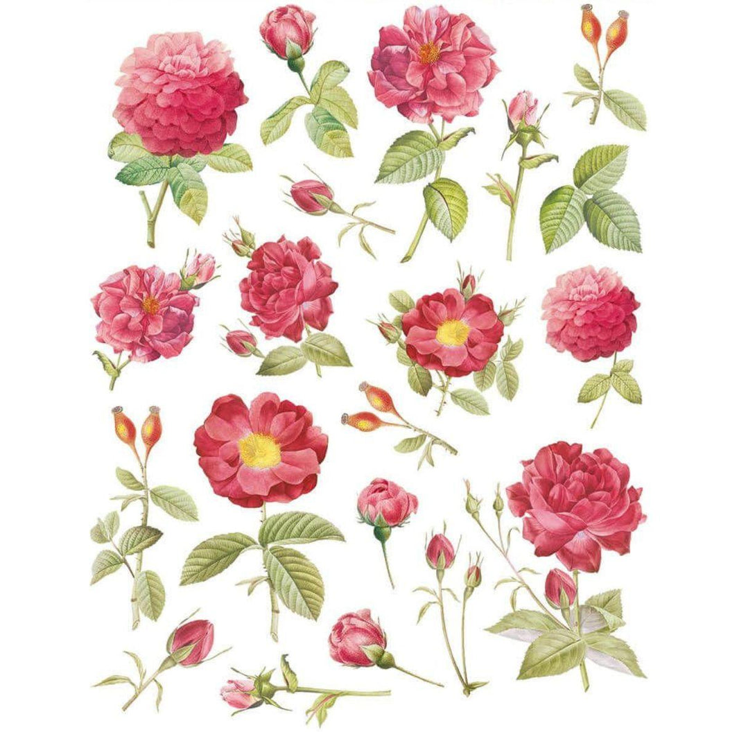 Decalque a Base de Água Litoarte DQM-015 15x18,7cm Estampa Floral - Palácio da Arte