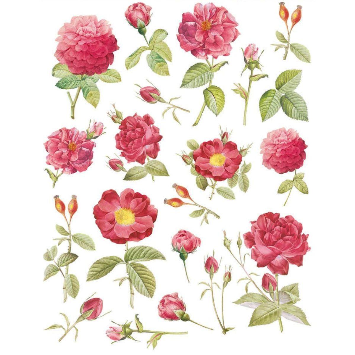 Decalque a Base de Água Litoarte DQM-015 15x18,7cm Estampa Floral - Palácio da Arte
