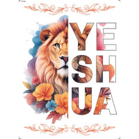 Transfer Têxtil 20x27,5cm TTR6-094 Yeshua