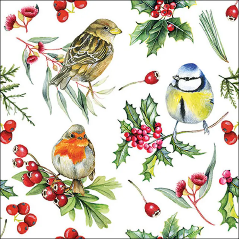 Guardanapo de Papel Decoupage 33x33 33319955 Birds in Winter