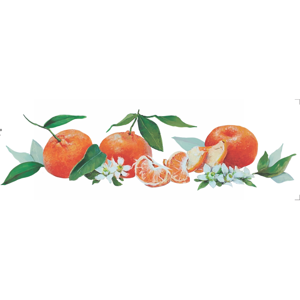 Transfer Têxtil 10x30cm  Opa 3827 Frutas Ponkans