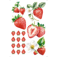 Transfer Litoarte 9,8x15cm TIS-096 Fruta Morango