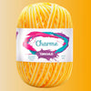 Fio Charme Círculo 150g com 396m - Palácio da Arte