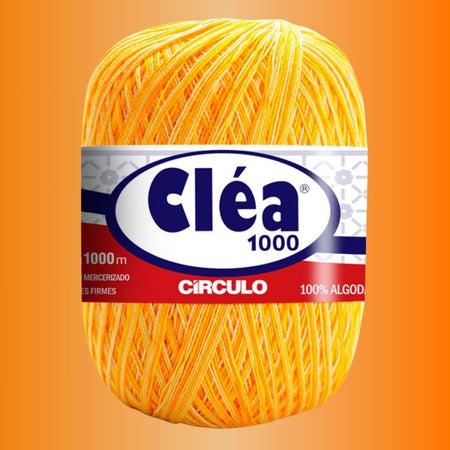 Fio Cléa 1000 Círculo Mesclado 151g com 1000m - Palácio da Arte