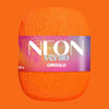 Fio Neon Verão Círculo 150g com 406m - Palácio da Arte