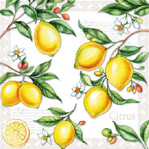 Guardanapo de Papel Decoupage 25x25 Citrus 12511520 - Palácio da Arte