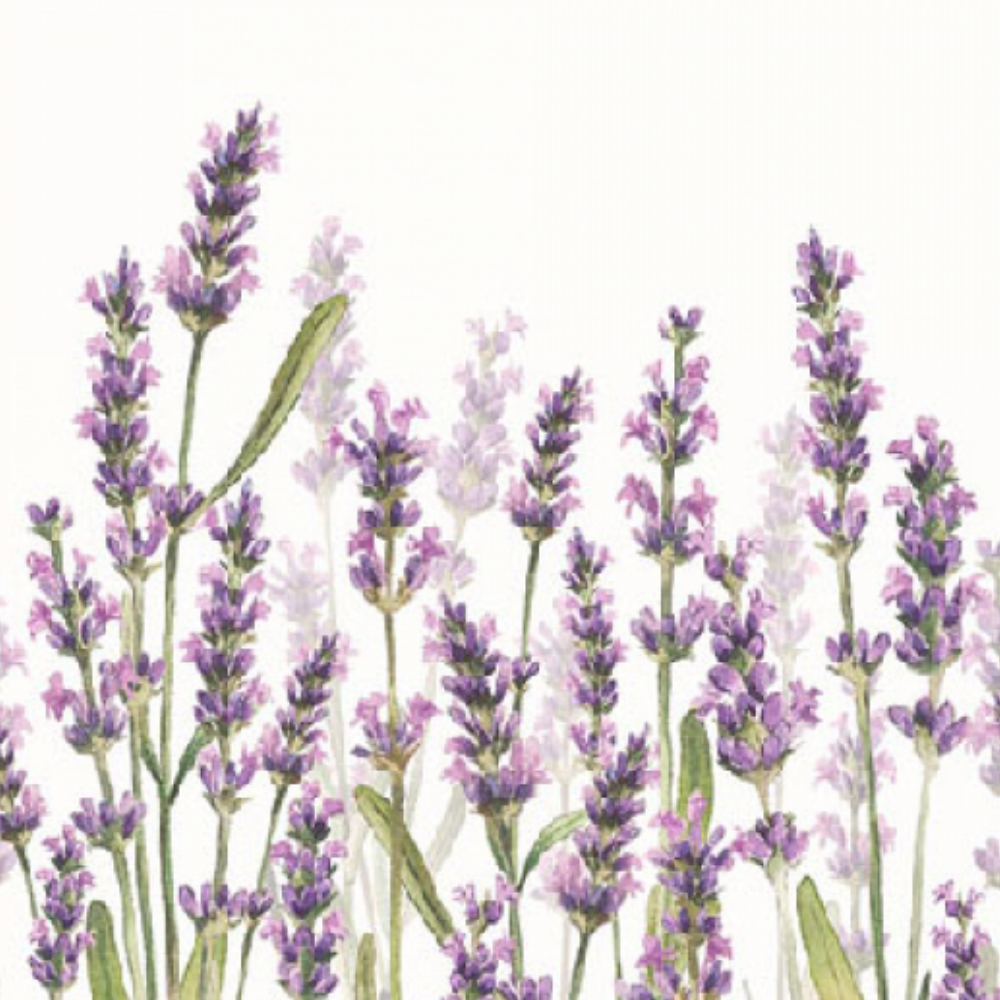 Guardanapo de Papel Decoupage 25x25 Tons de Lavanda 12515985 - Palácio da Arte