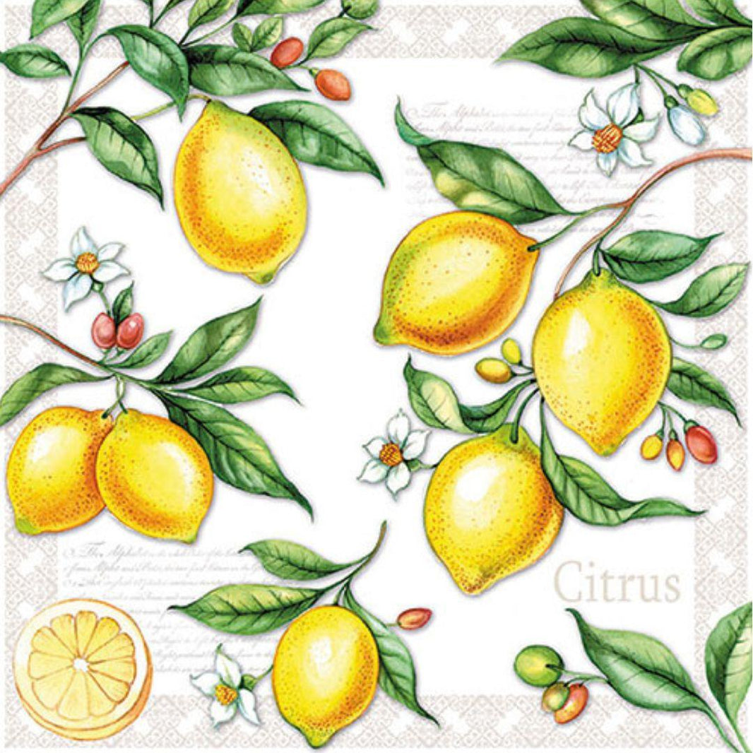 Guardanapo de Papel Decoupage 33x33 Citrus Cítrico 13311520 - Palácio da Arte