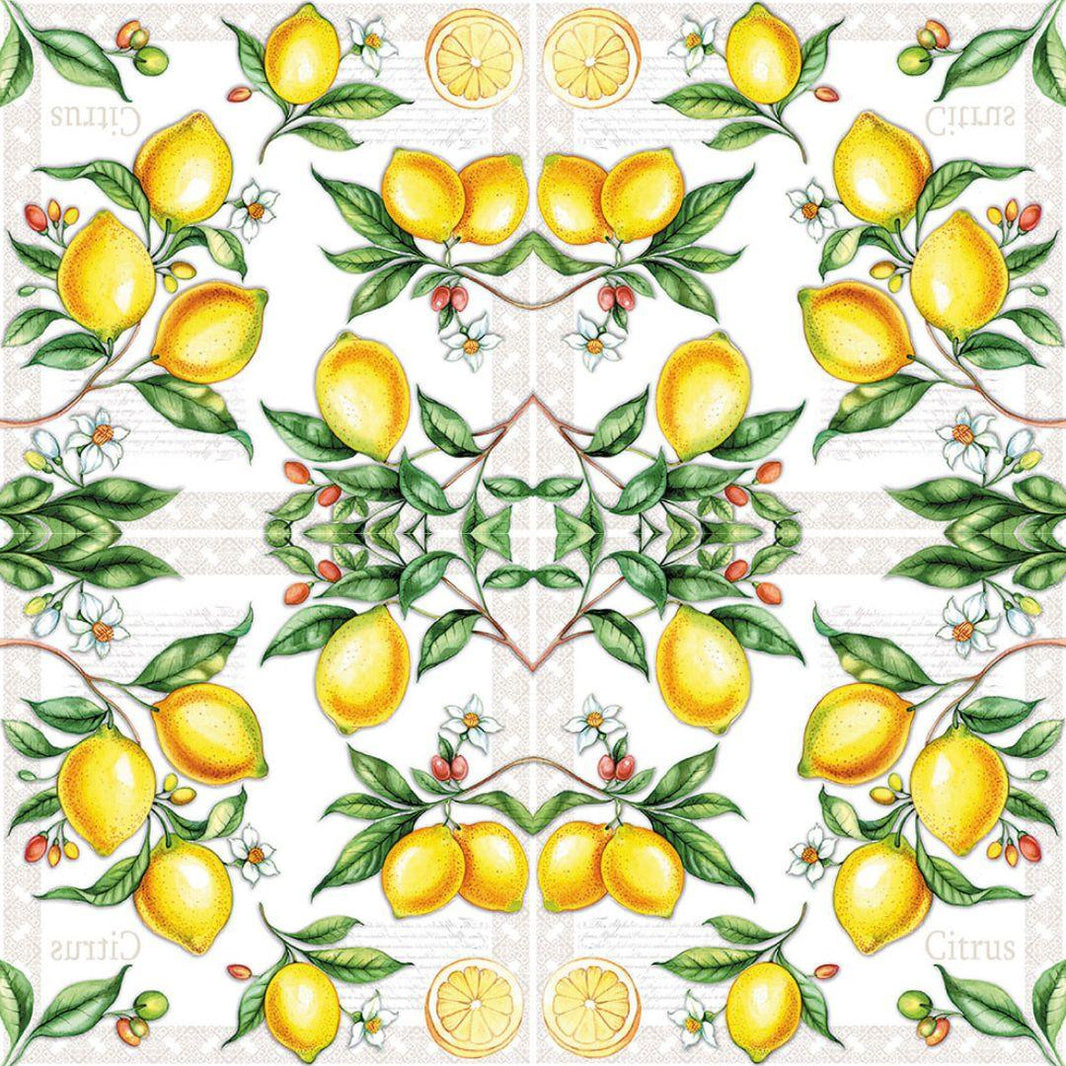 Guardanapo de Papel Decoupage 33x33 Citrus Cítrico 13311520 - Palácio da Arte