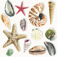 Guardanapo de Papel Decoupage 33x33 Conchas Fundo do Mar 13317390 - Palácio da Arte