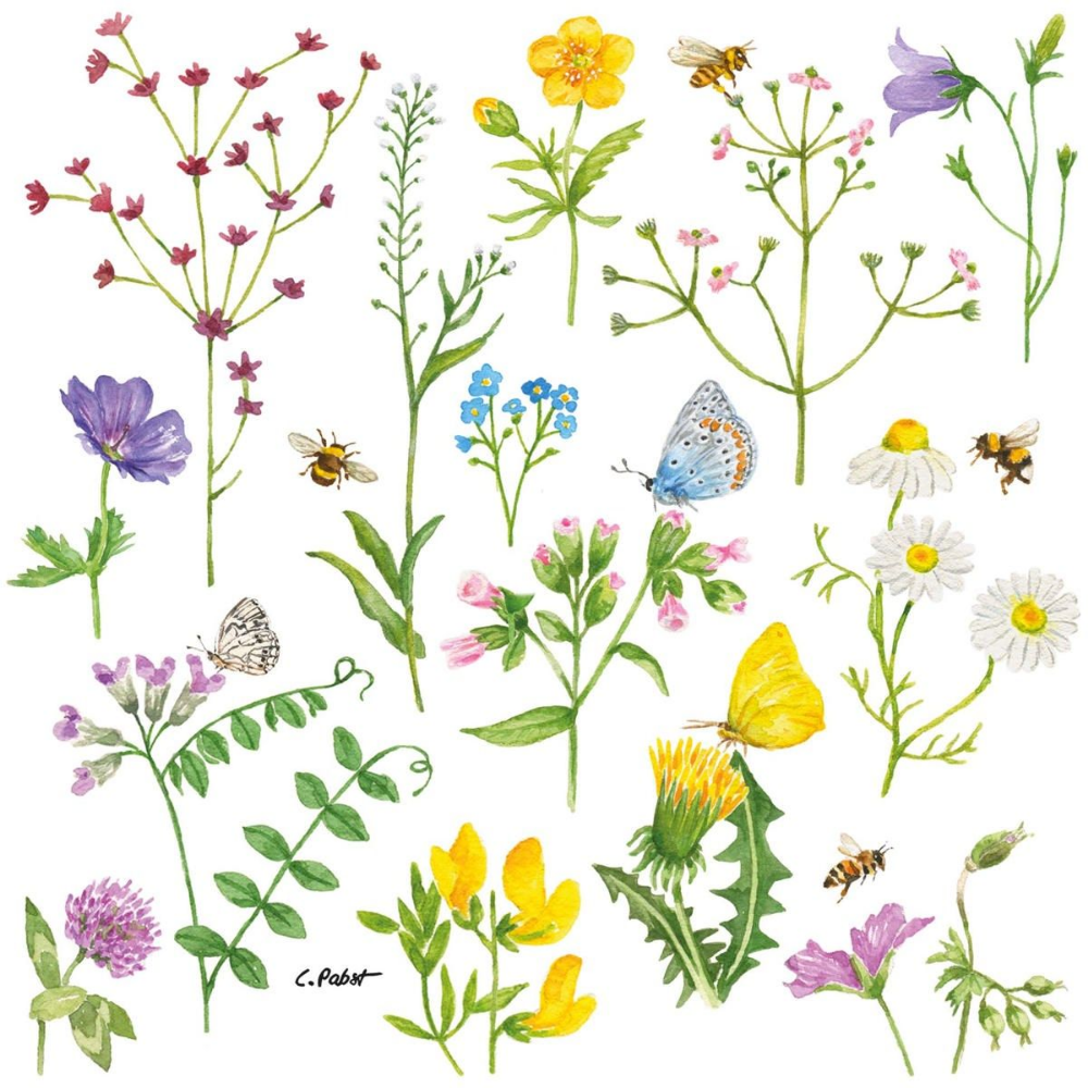 Guardanapo de Papel Decoupage 33x33 Flores Centaurea 133002173 - Palácio da Arte