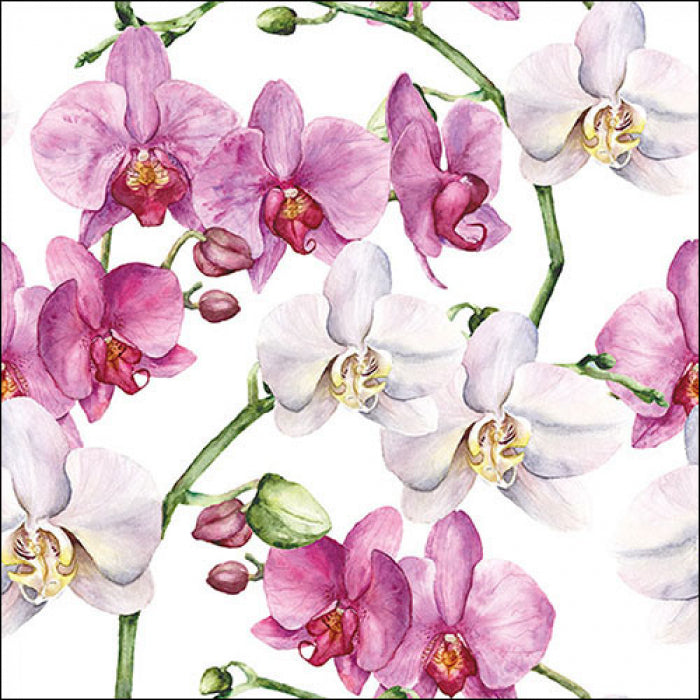 Guardanapo de Papel Decoupage 33x33 Orquídeas Brancas 13319605 - Palácio da Arte