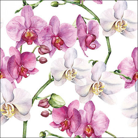 Guardanapo de Papel Decoupage 33x33 Orquídeas Brancas 13319605 - Palácio da Arte