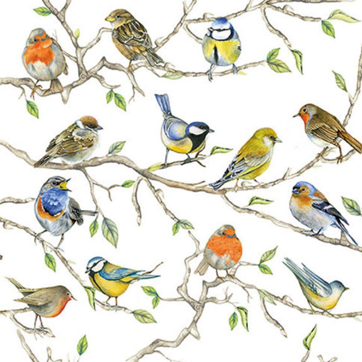 Guardanapo de Papel Decoupage 33x33 Reunião de Pássaros 13314975 - Palácio da Arte