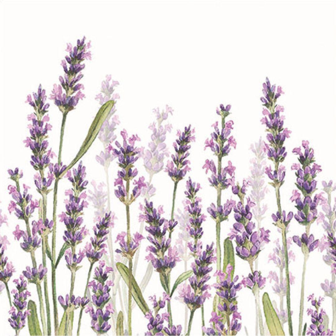 Guardanapo de Papel Decoupage 33x33 Tons de Lavanda 13315985 - Palácio da Arte