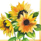 Guardanapo Decoupage Girasoli 13306555 Ambiente com 2 peças - Palácio da Arte