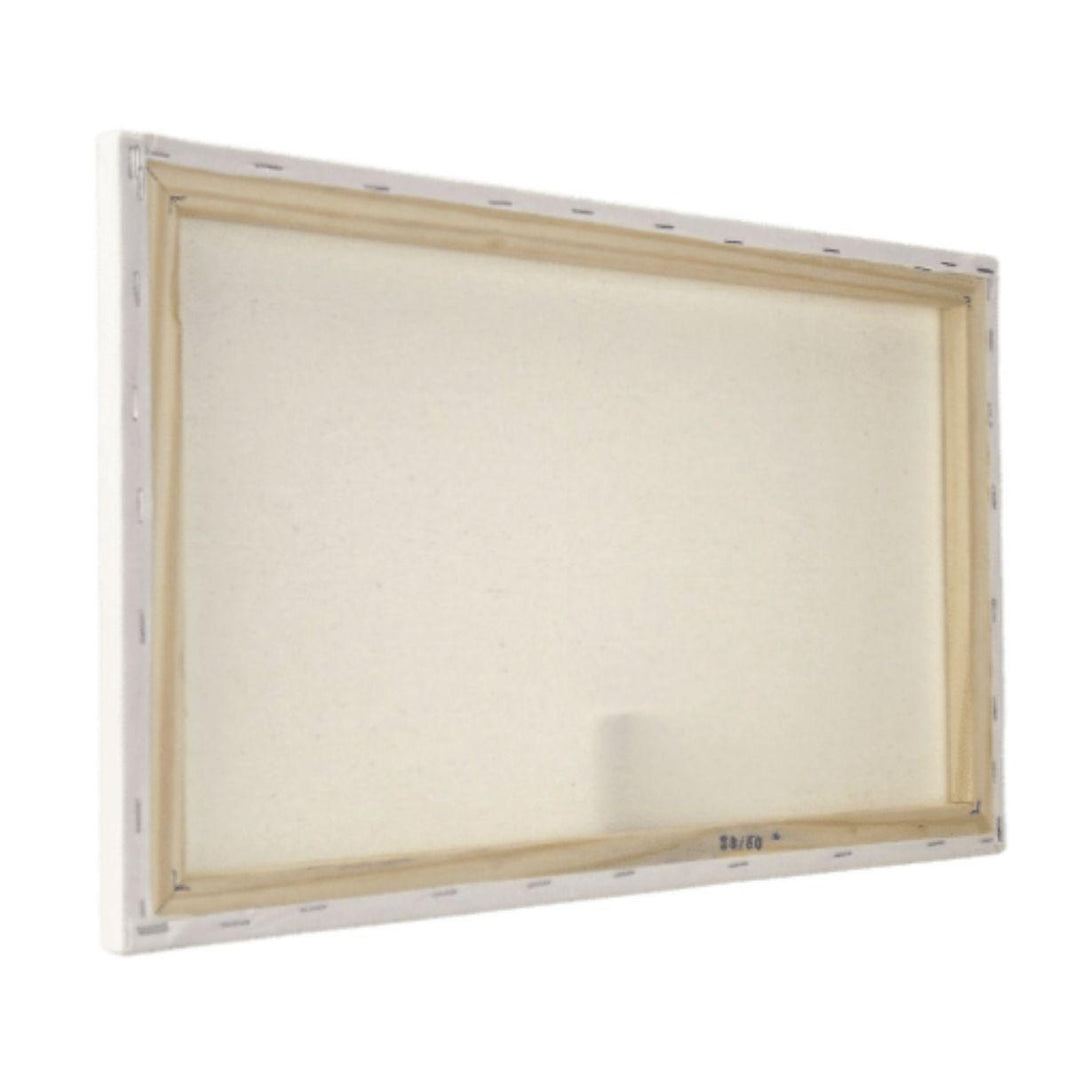 Painel para Pintura 30x50x3cm Chassi Simples Virado - Palácio da Arte