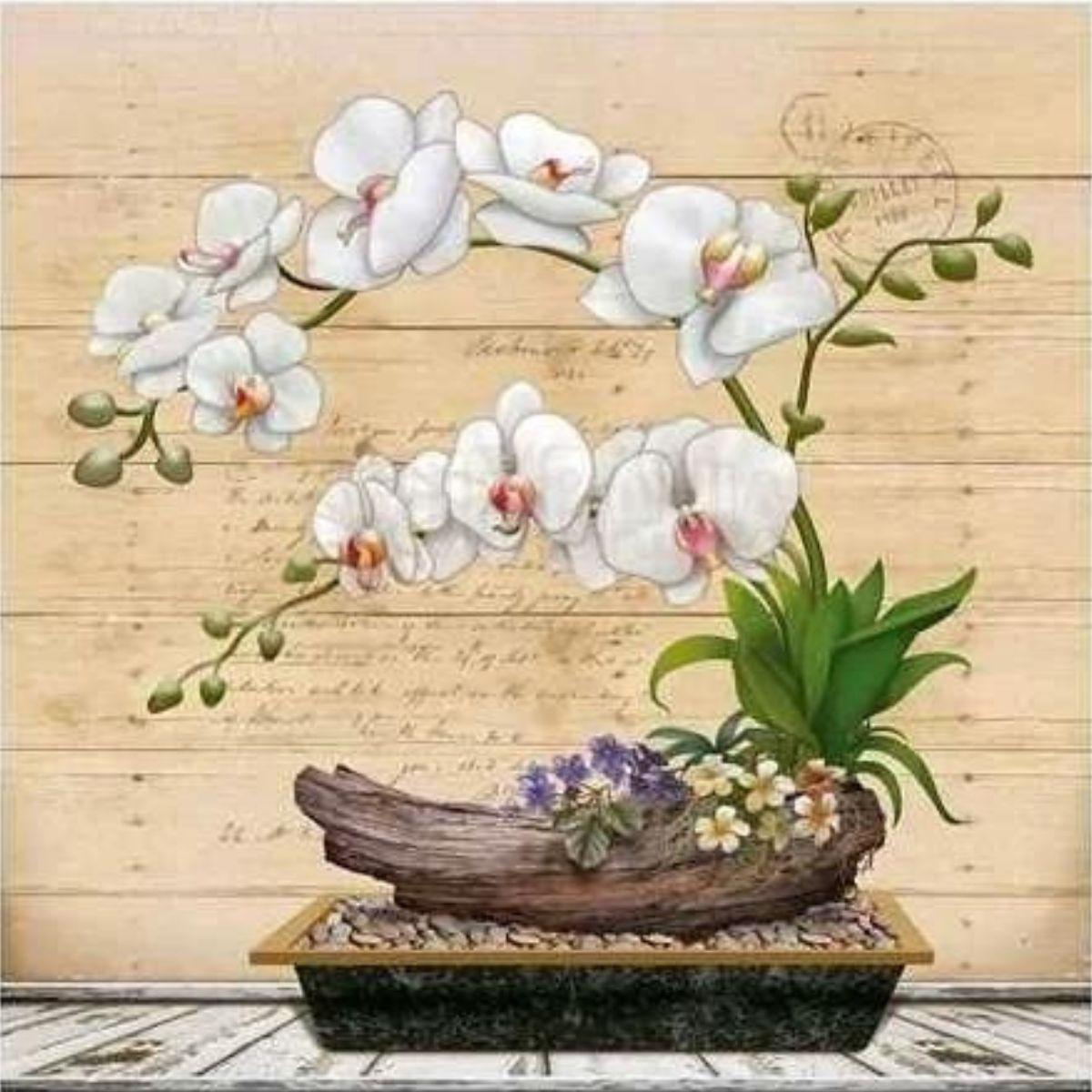 Papel Decoupage Arte Francesa Litoarte AFQ-398 Orquídea Branca 21x21cm - Palácio da Arte