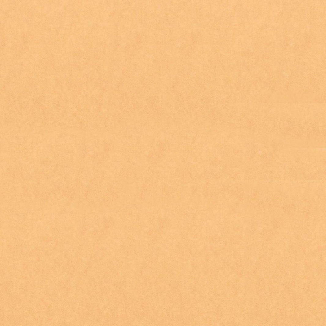 Papel Kraft Litoarte FKL-001 Liso 30x30cm com 2 unidades - Palácio da Arte