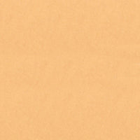 Papel Kraft Litoarte FKL-001 Liso 30x30cm com 2 unidades - Palácio da Arte