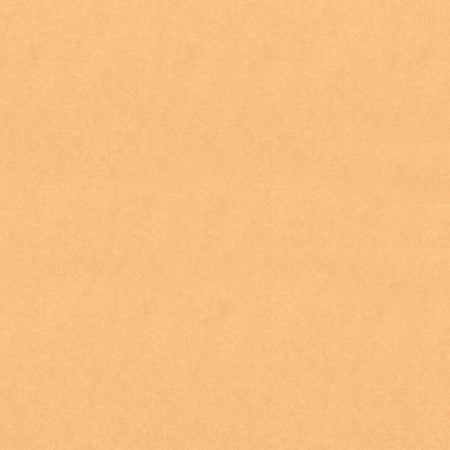 Papel Kraft Litoarte FKL-001 Liso 30x30cm com 2 unidades - Palácio da Arte