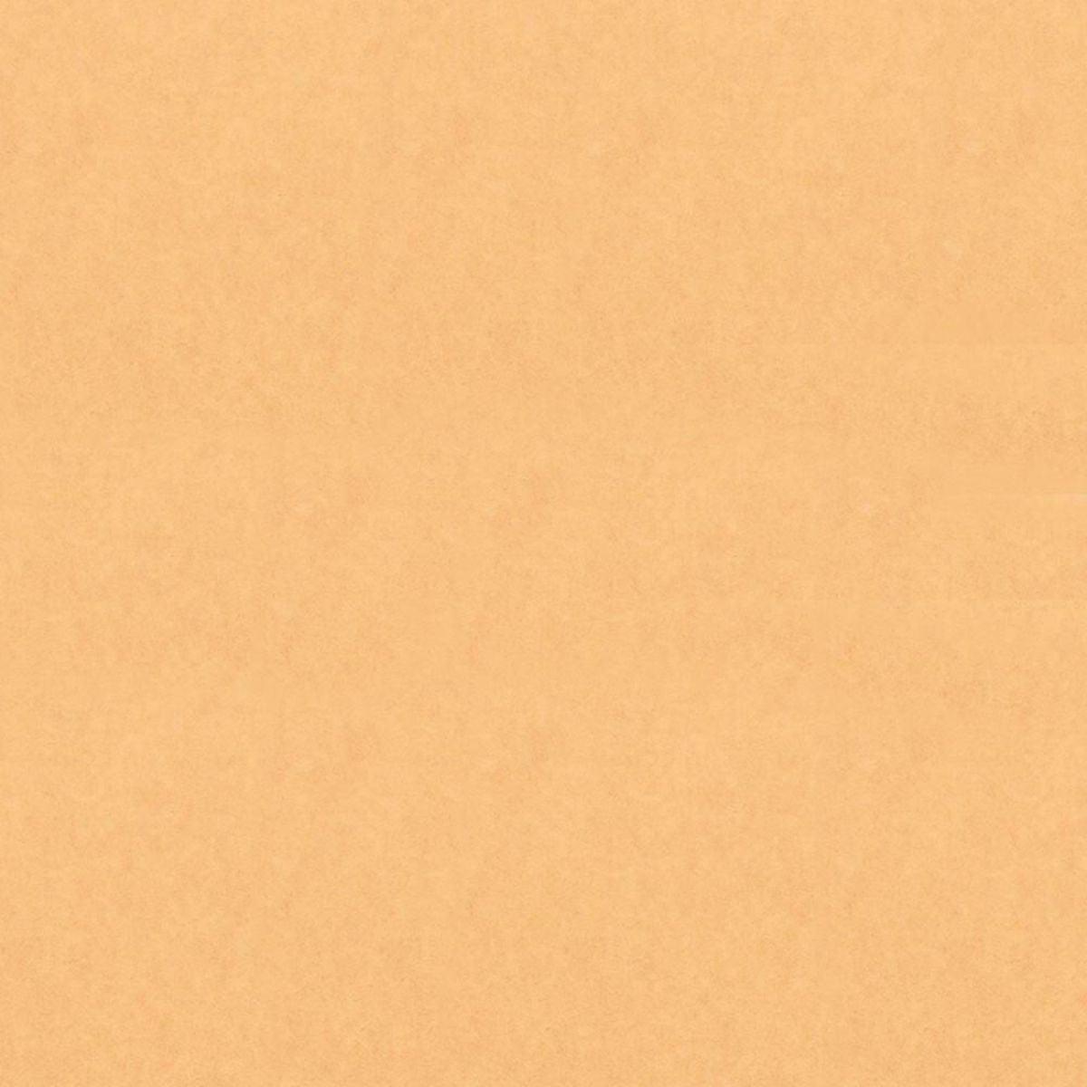 Papel Kraft Litoarte FKL-001 Liso 30x30cm com 2 unidades - Palácio da Arte
