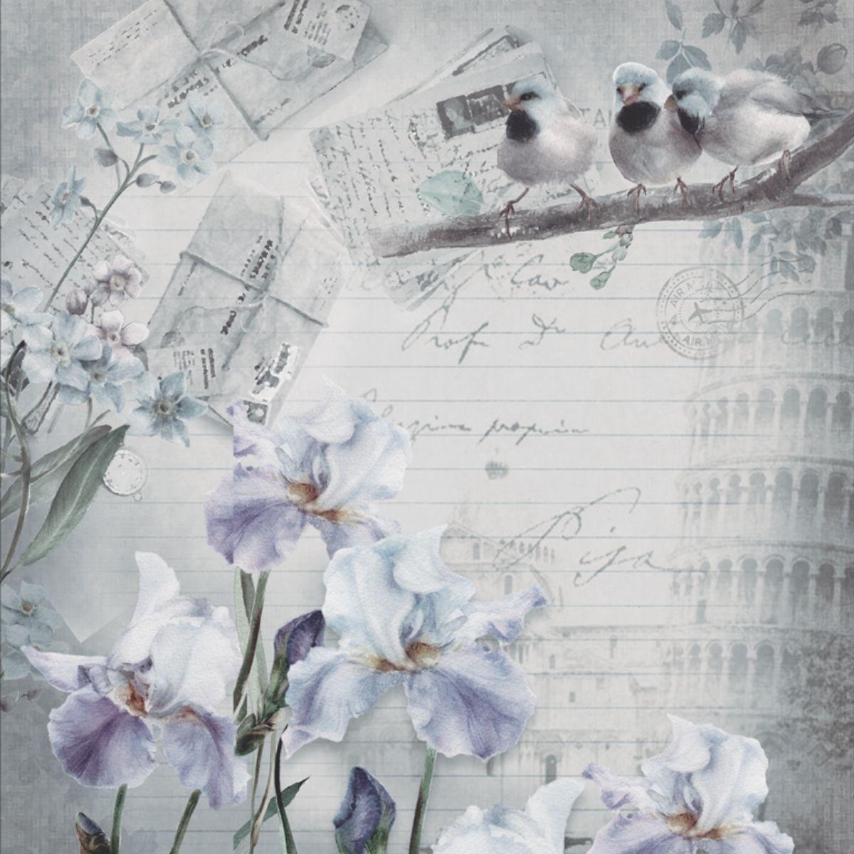 Papel Scrapbook 30x30 2647 Flor Íris 1 OPADECOR - Palácio da Arte
