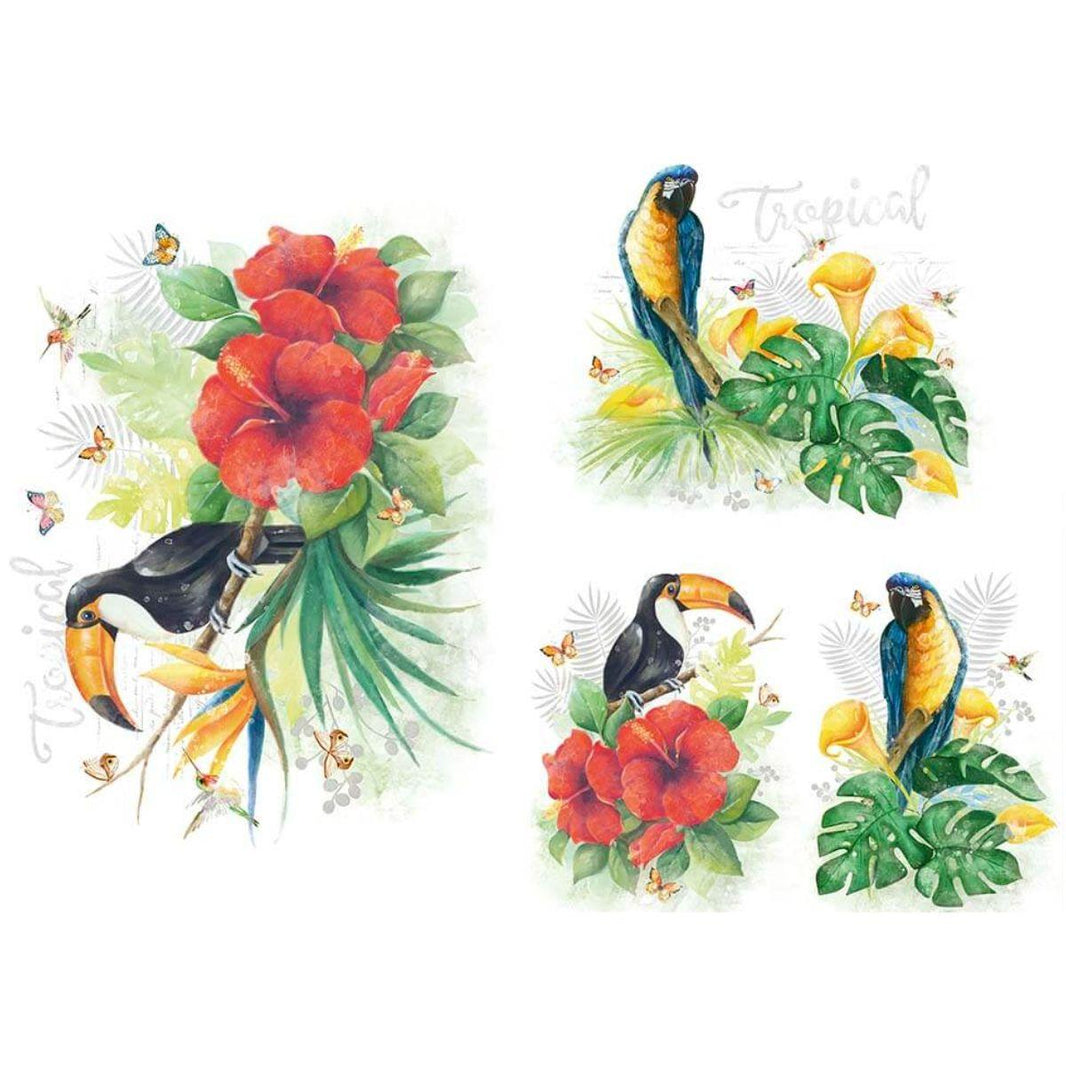 Slim Paper Decoupage Litoarte SPL-006 Tropical Tucano e Arara 47x34cm - Palácio da Arte