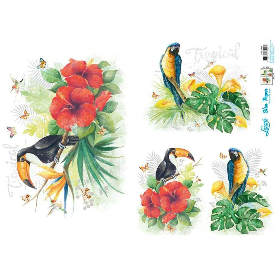 Slim Paper Decoupage Litoarte SPL-006 Tropical Tucano e Arara 47x34cm - Palácio da Arte