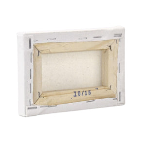 Tela para Pintura 10x15x2cm Chassi Simples Virada - Palácio da Arte