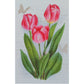 Tela Riscada para Pintura 20x30cm Flores Tulipas - Palácio da Arte