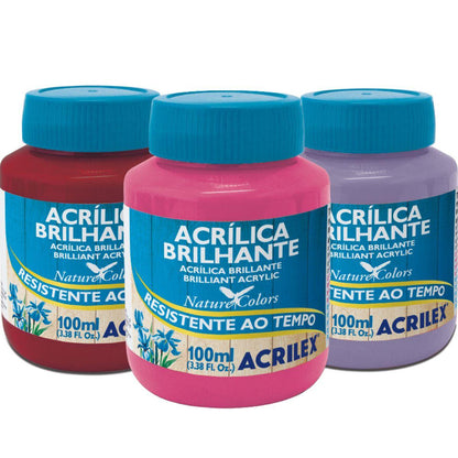 Tinta Acrílica Brilhante Acrilex 100ml Nature Colors Resistente ao Tempo - Palácio da Arte