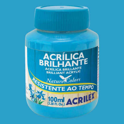 Tinta Acrílica Brilhante Acrilex 100ml Nature Colors Resistente ao Tempo - Palácio da Arte